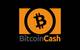 Bitcoin Cash