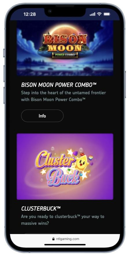 Northern Lights Gaming Casinos