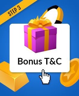 Read the high roller bonus T&Cs 